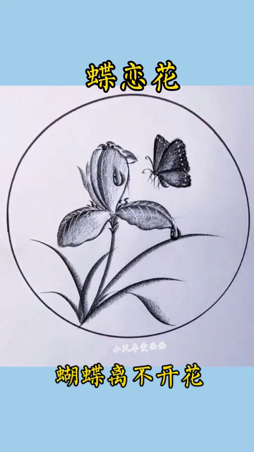 #儿童简笔画 炭笔画蝶恋花#简笔画#一学就会的简笔画