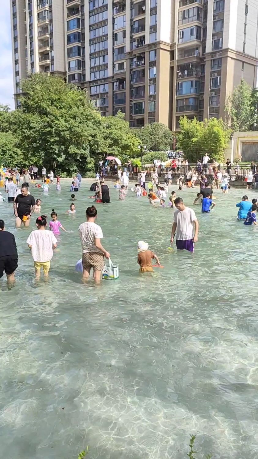小区的人工湖在夏季变成泳池,大人抓鱼,小孩子游泳,快乐无穷