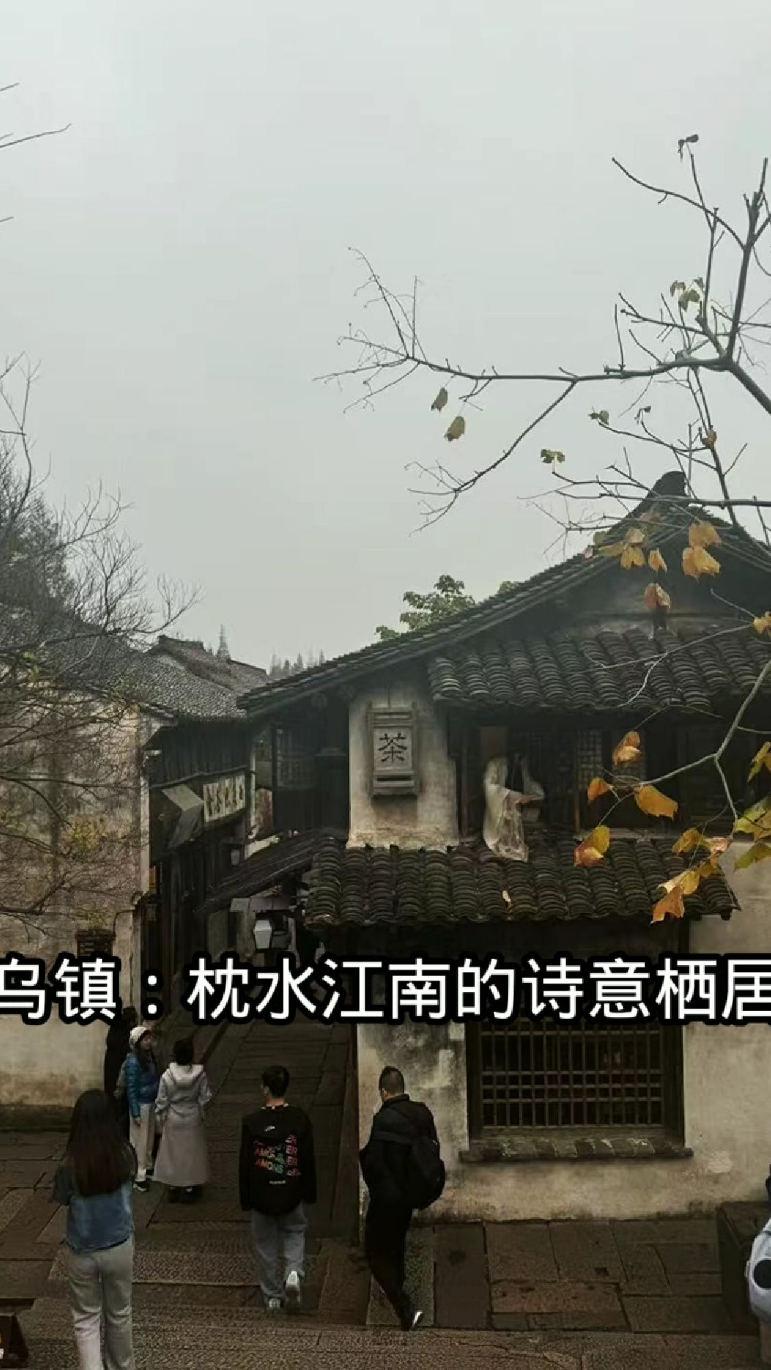 乌镇枕水江南的诗意栖居