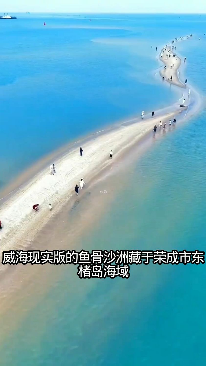 威海现实版的鱼骨沙洲美得不可方物