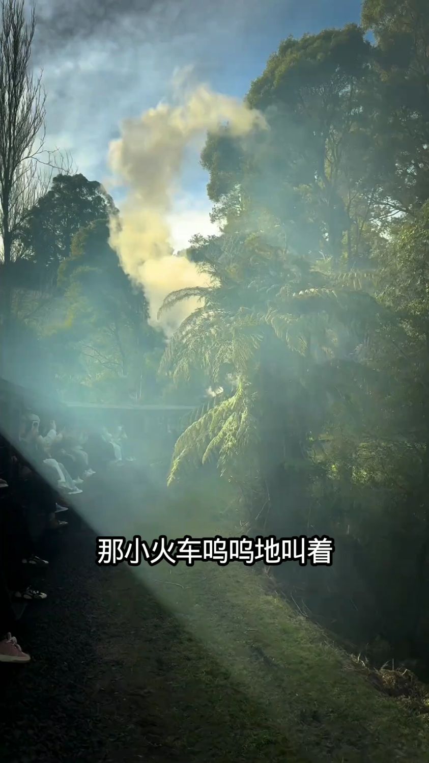 墨尔本蒸汽小火车开往森林的火车治愈系风景