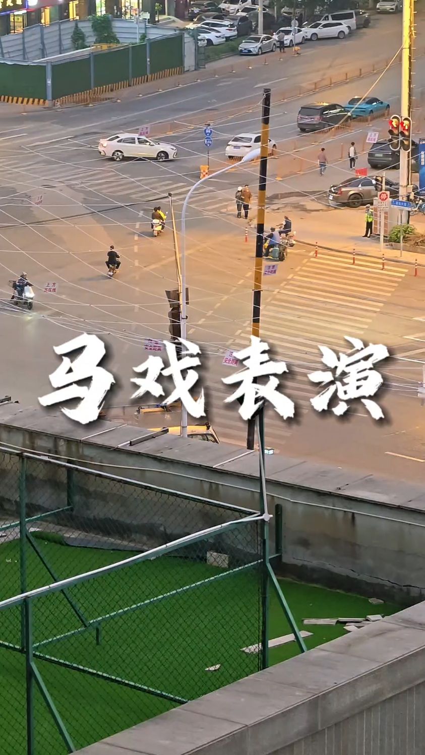 一公斤的大蚂蚁？十八斤的黄金大老鼠？怎么武汉总有这种马戏表演