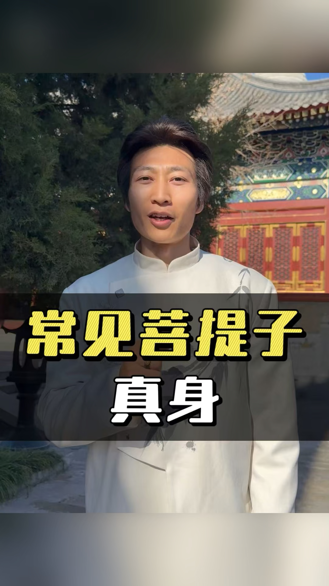 常见菩提子“真身”大盘点