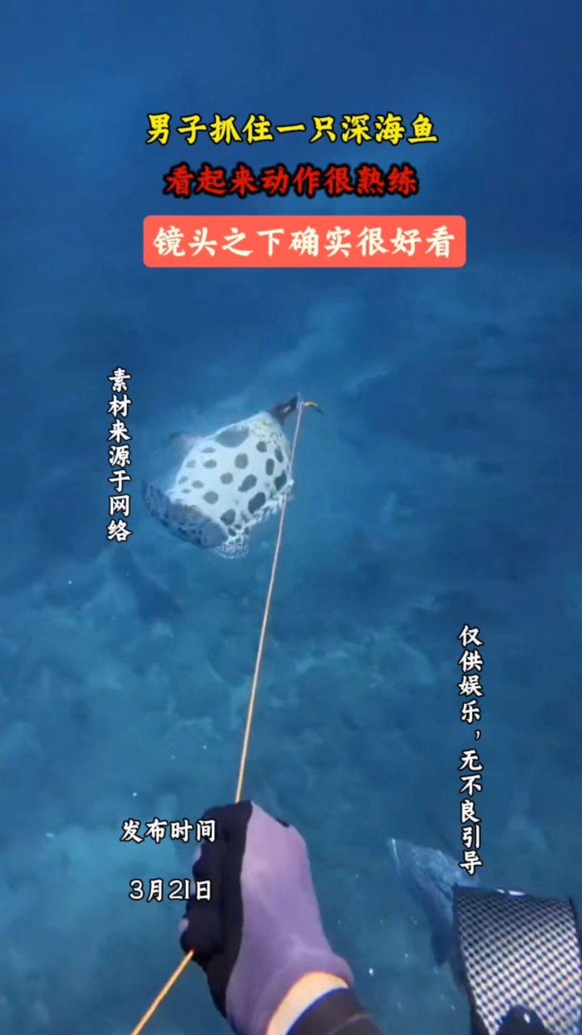 男子抓住一只深海鱼,看起来动作很熟练,网友:确实厉害