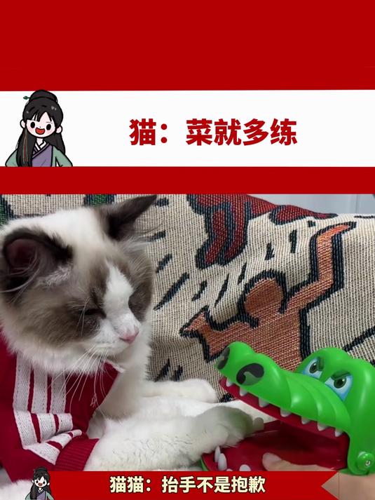 猫:菜就多练