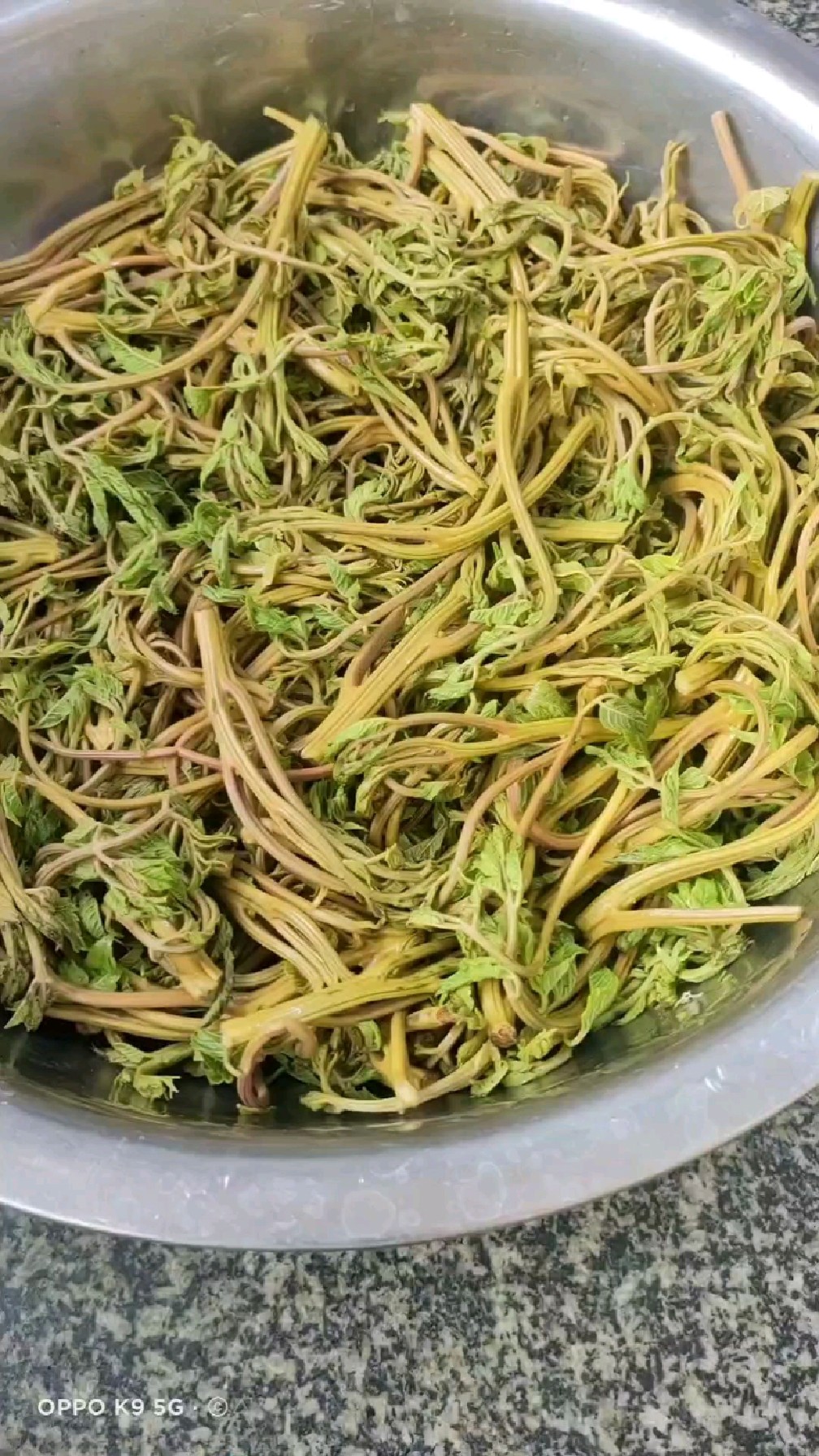 无公害纯天然野菜