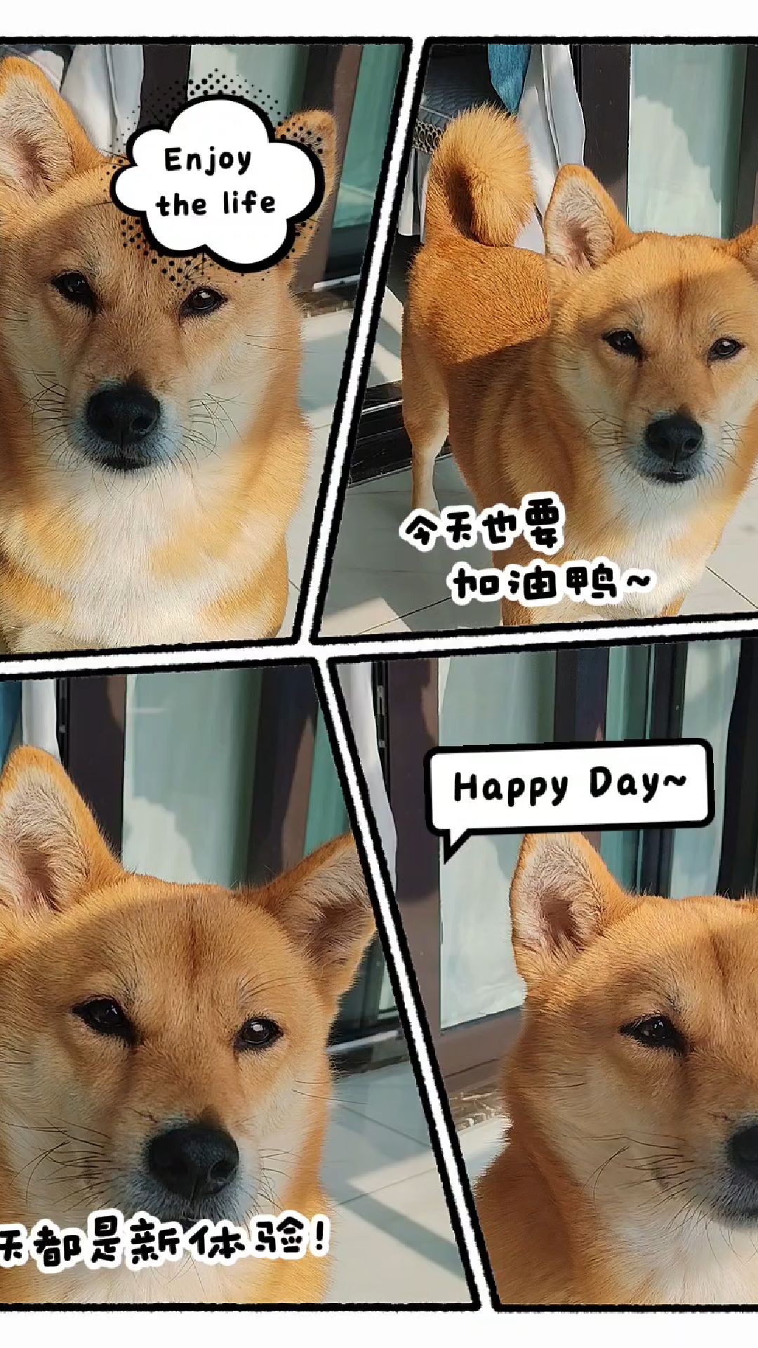 ee们,今天也要加油鸭