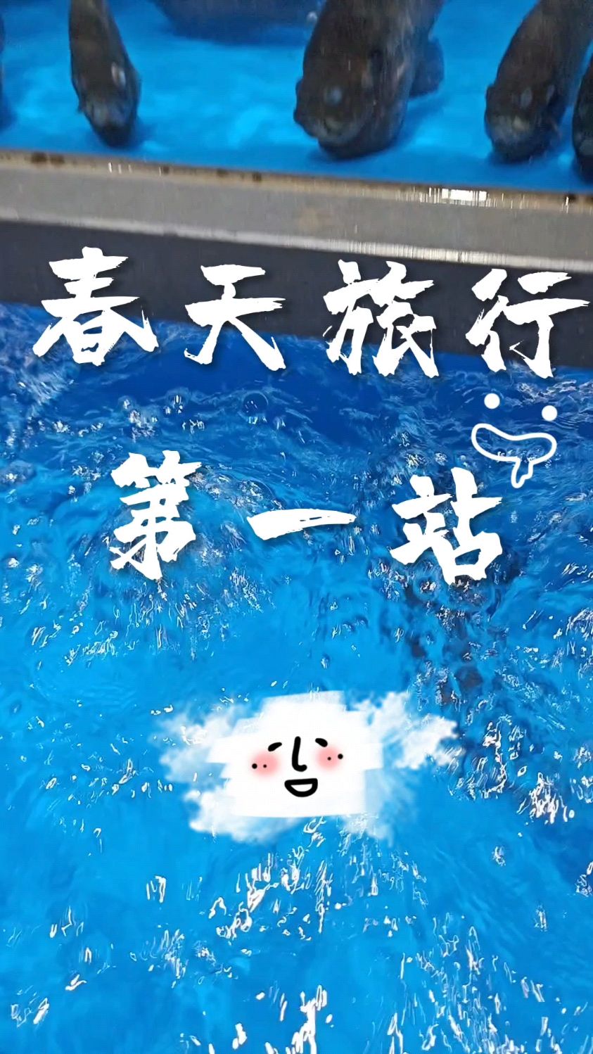 春天当然要去看海啦～