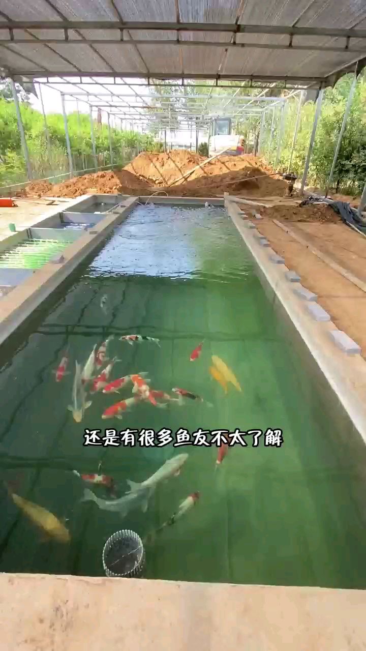 锦鲤小课堂来喽！鱼池过滤循环的原理到底是什么？