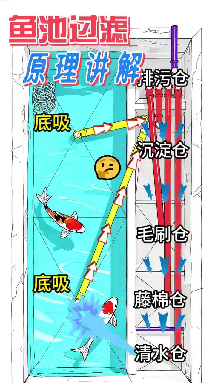 鱼池过滤原理讲解