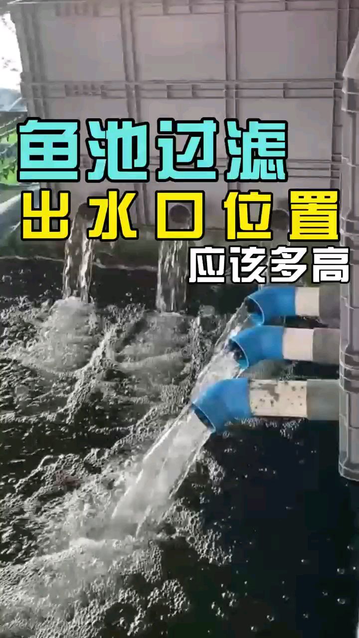 鱼池过滤出水口位置应该多高