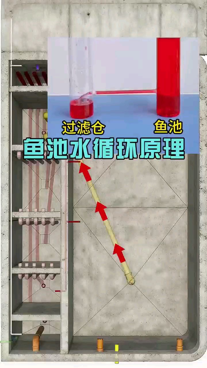 锦鲤鱼池水循环原理