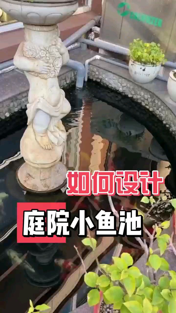 庭院小鱼池如何设计？