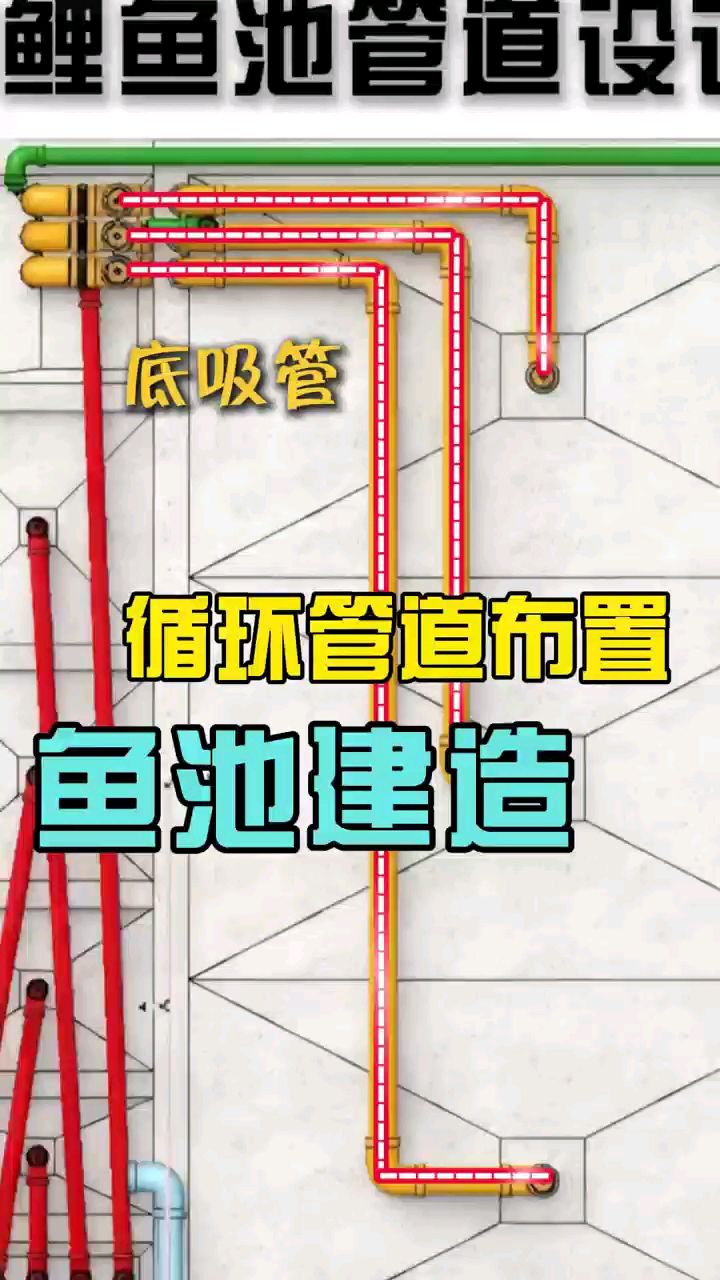 鱼池建造指南：循环管道布置与底吸管的巧妙设计