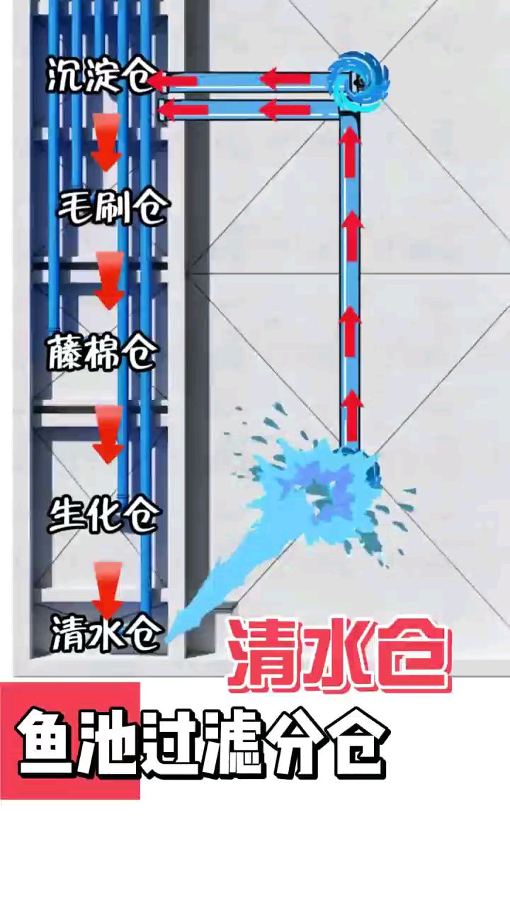 鱼池过滤系统详解，高效清洁鱼儿生活环境