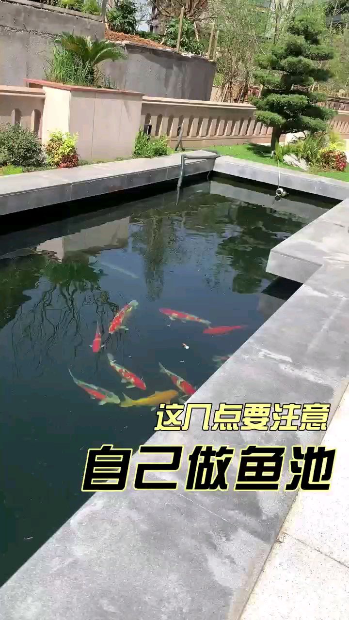 庭院中的鱼池,让生活更美好