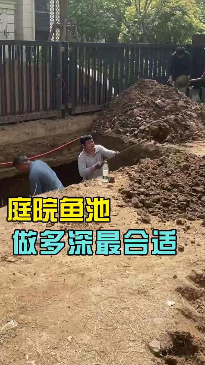 庭院鱼池深度指南,打造最适宜的生态环境!