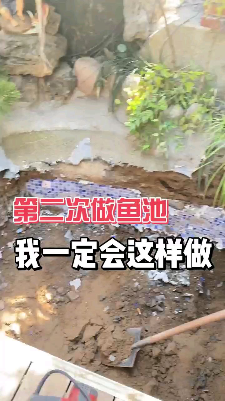 第二次做鱼池,我一定这样挖!