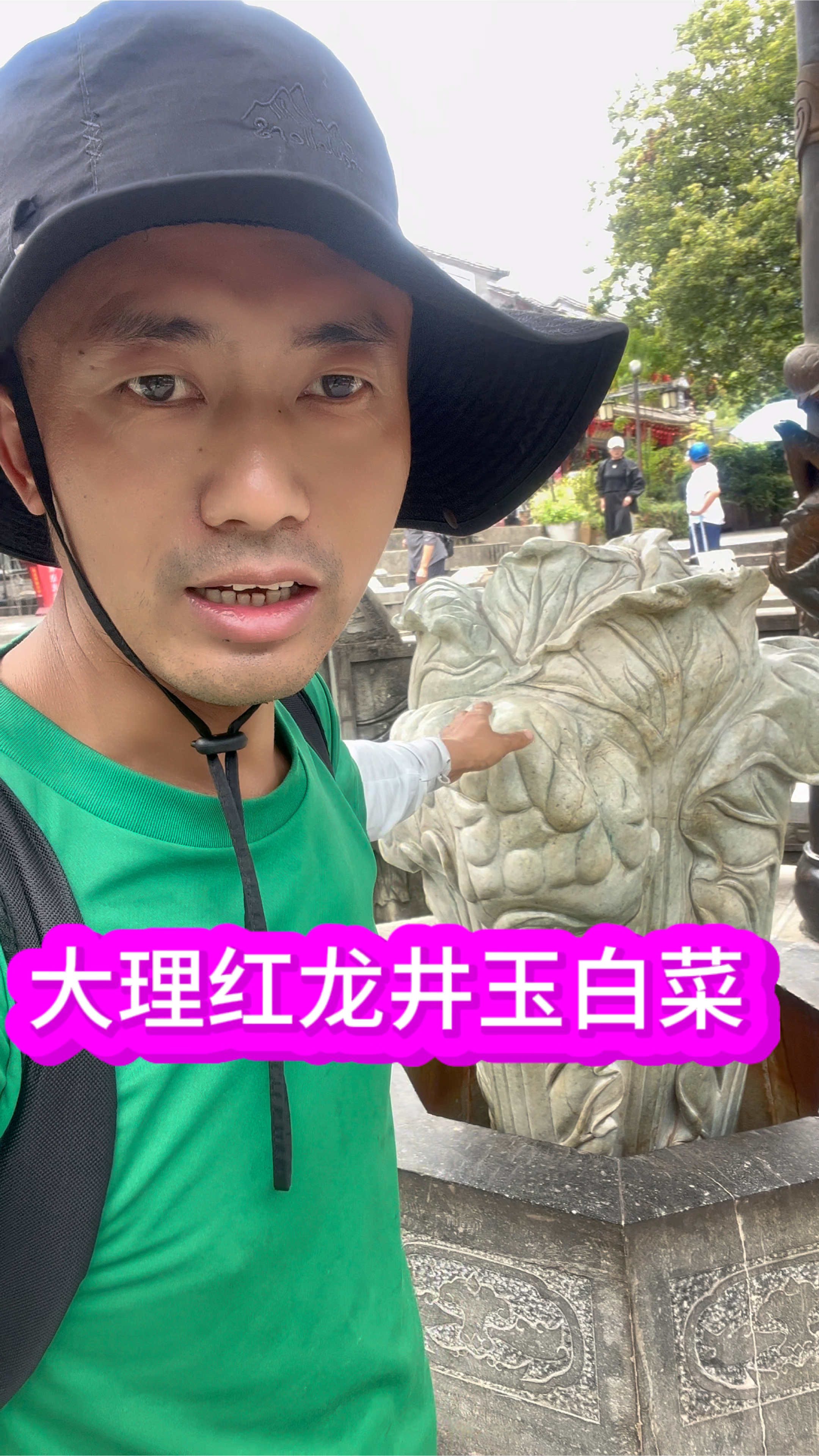 云南大理古城红龙井,这颗玉白菜的故事:游客都会来打卡拍照