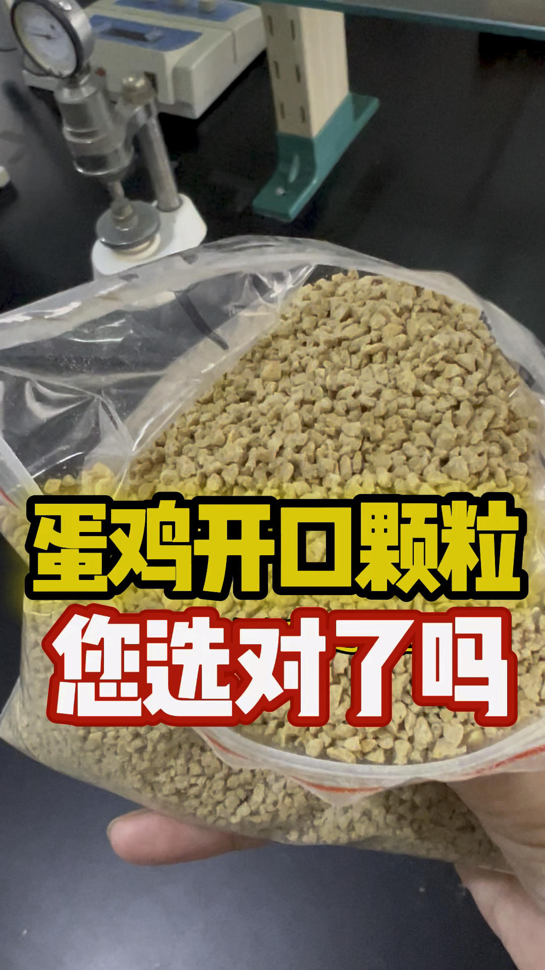 雏鸡料怎么选 #蛋鸡苗 #小鸡料 #蛋鸡开口料 #鸡苗