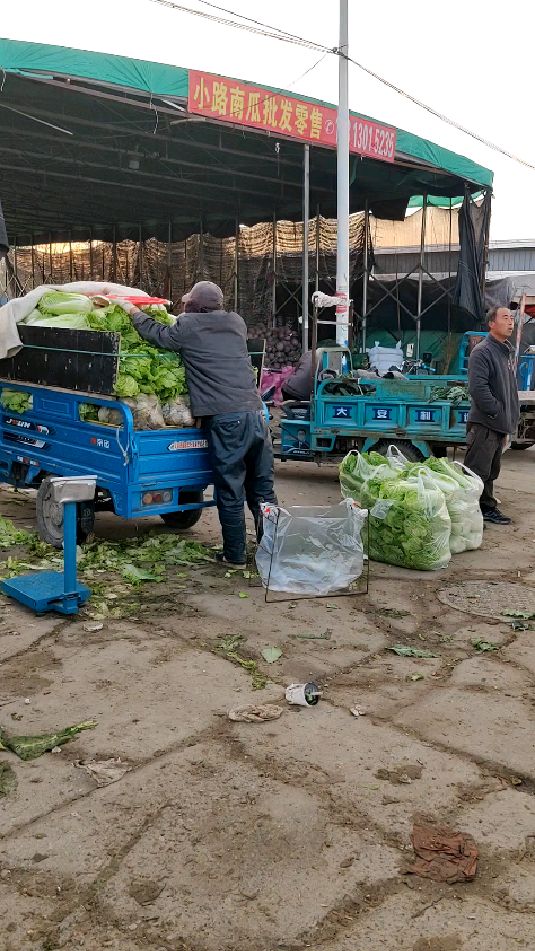 大白菜,北京周边的批发市场