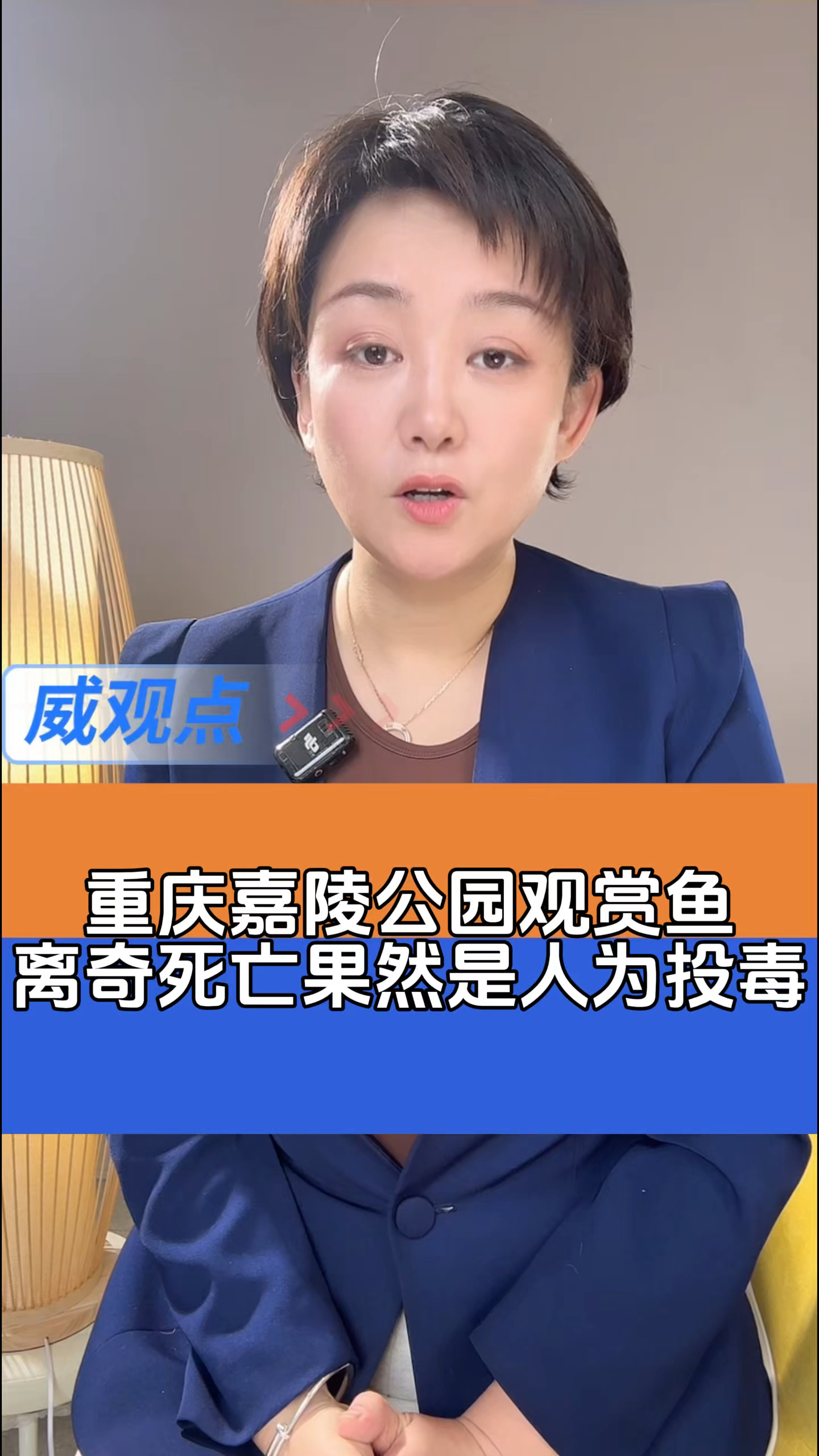重庆观音桥观赏鱼大量死亡戏人为投毒