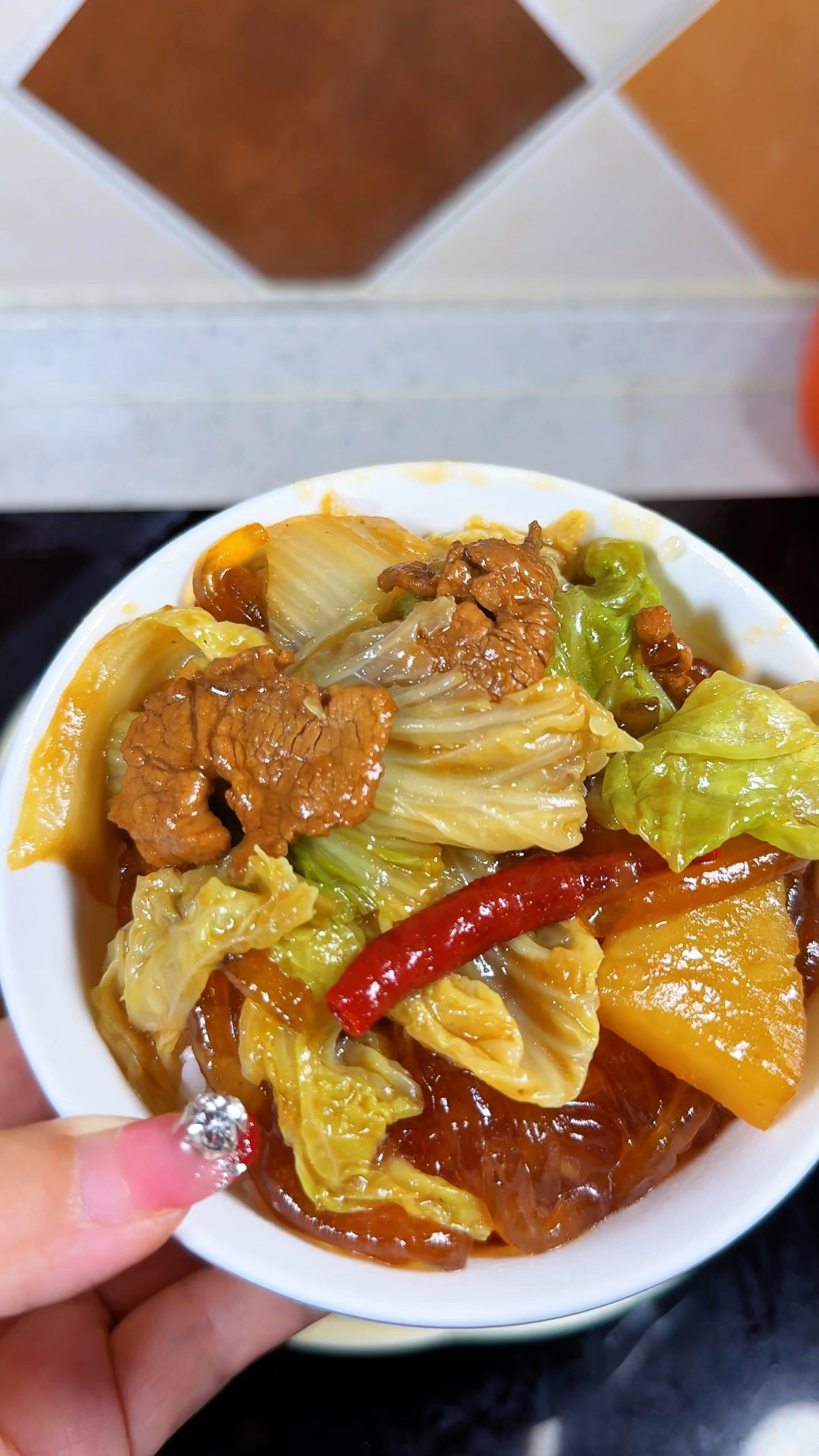 东北经典家常菜 猪肉白菜炖粉条 配上米饭两碗打底 嘎嘎好吃