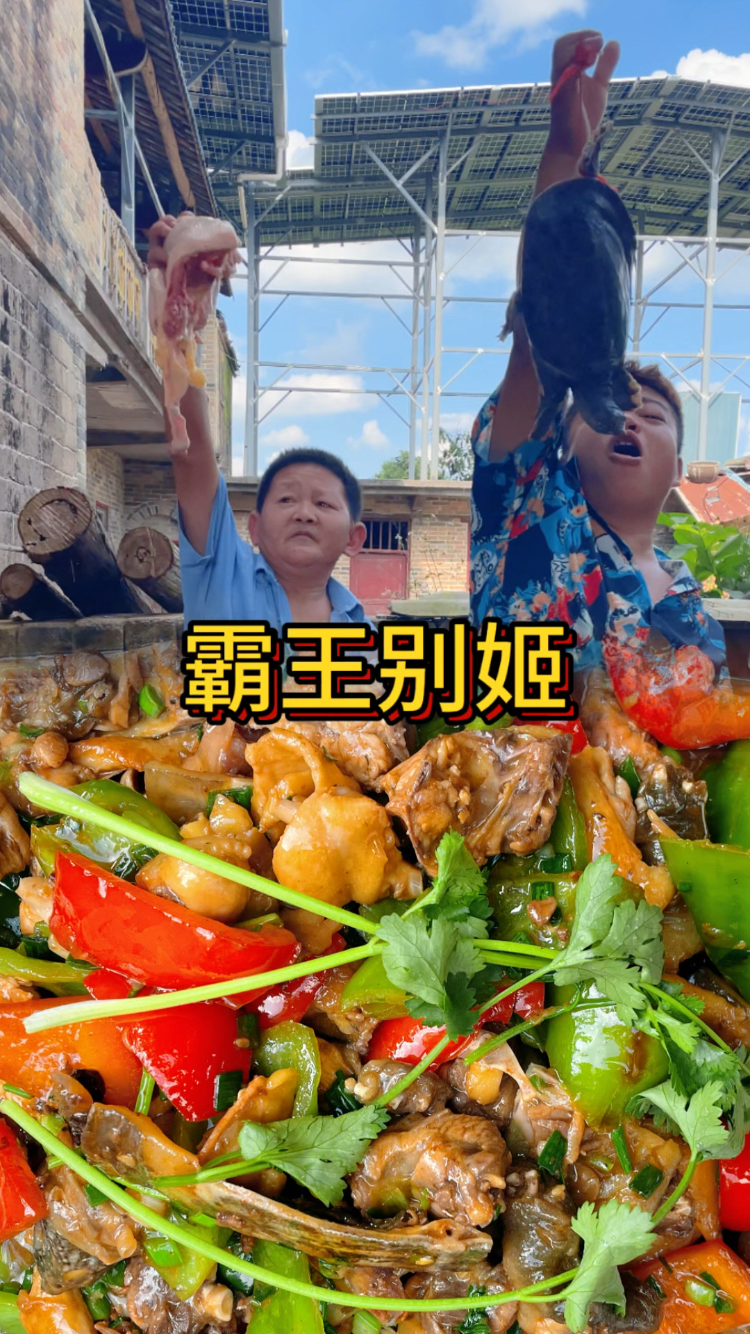 这锅霸王别姬鲜到破防!原来甲鱼和鸡才是天造地设的 CP