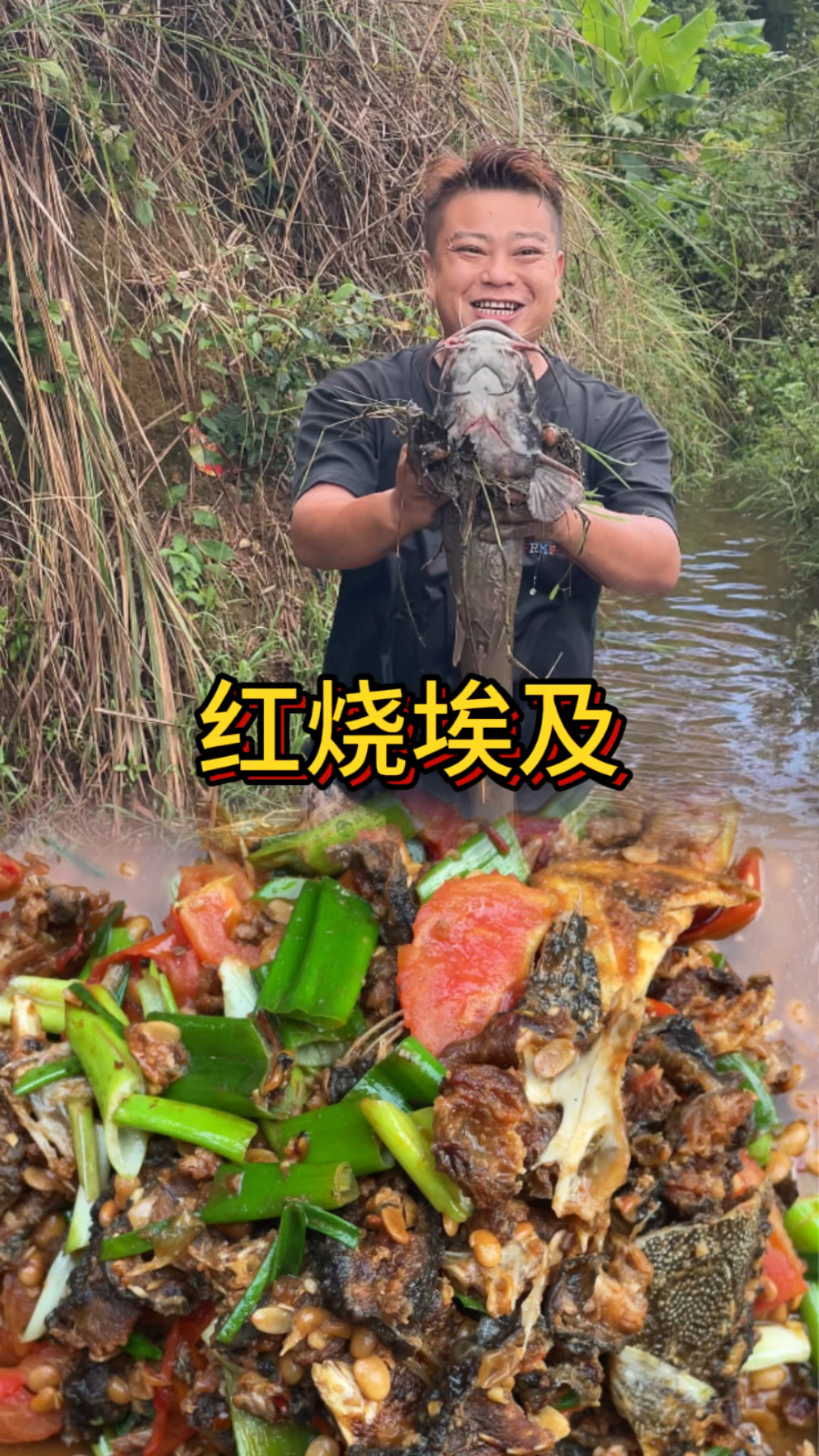 臭名远扬的埃及塘鲺狗都不吃!我吃 红烧后绝对能让你喊“真香”