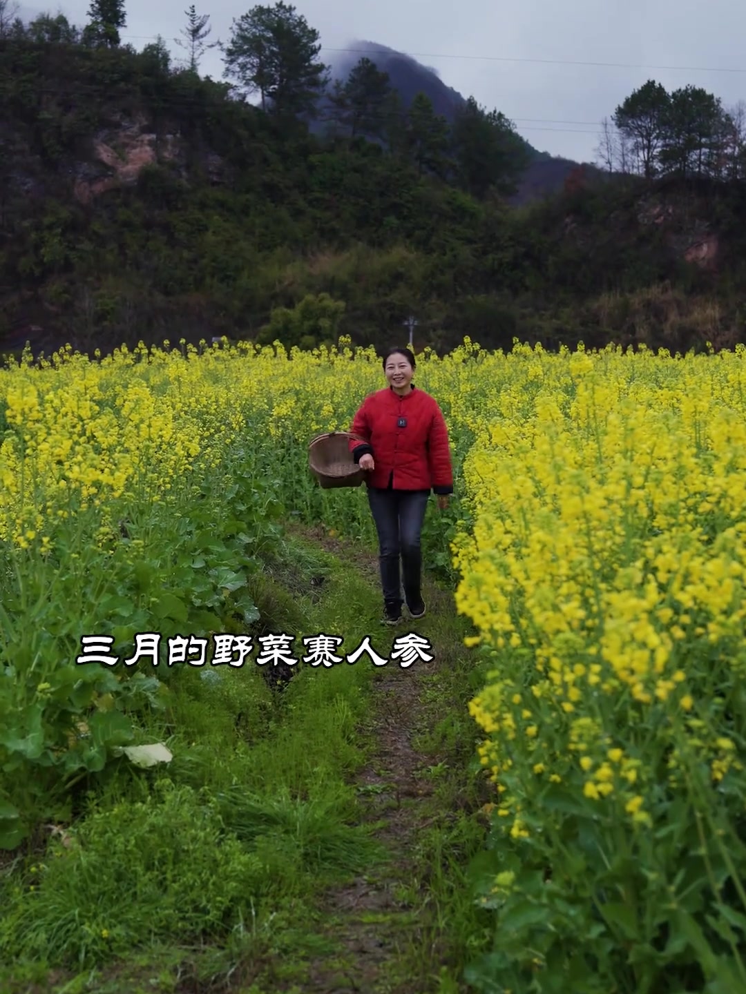今天去摘了几种下火锅的神仙配菜，其中有一种你肯定没吃过，快来看看吧。