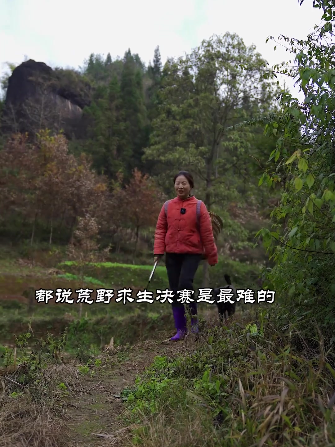 冬天荒野求生很难吗?对于农村长大的孩子,山上轻松搞到很多种野菜,就这样清水煮一下也很美味噢