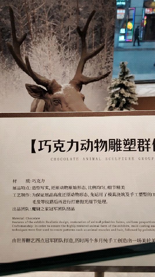 谁见过巧克力做的动物世界