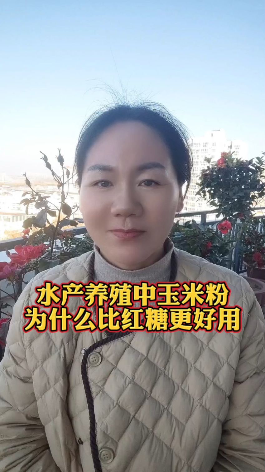 水产养殖中玉米粉为什么比红糖更好用#鱼虾蟹水产养殖