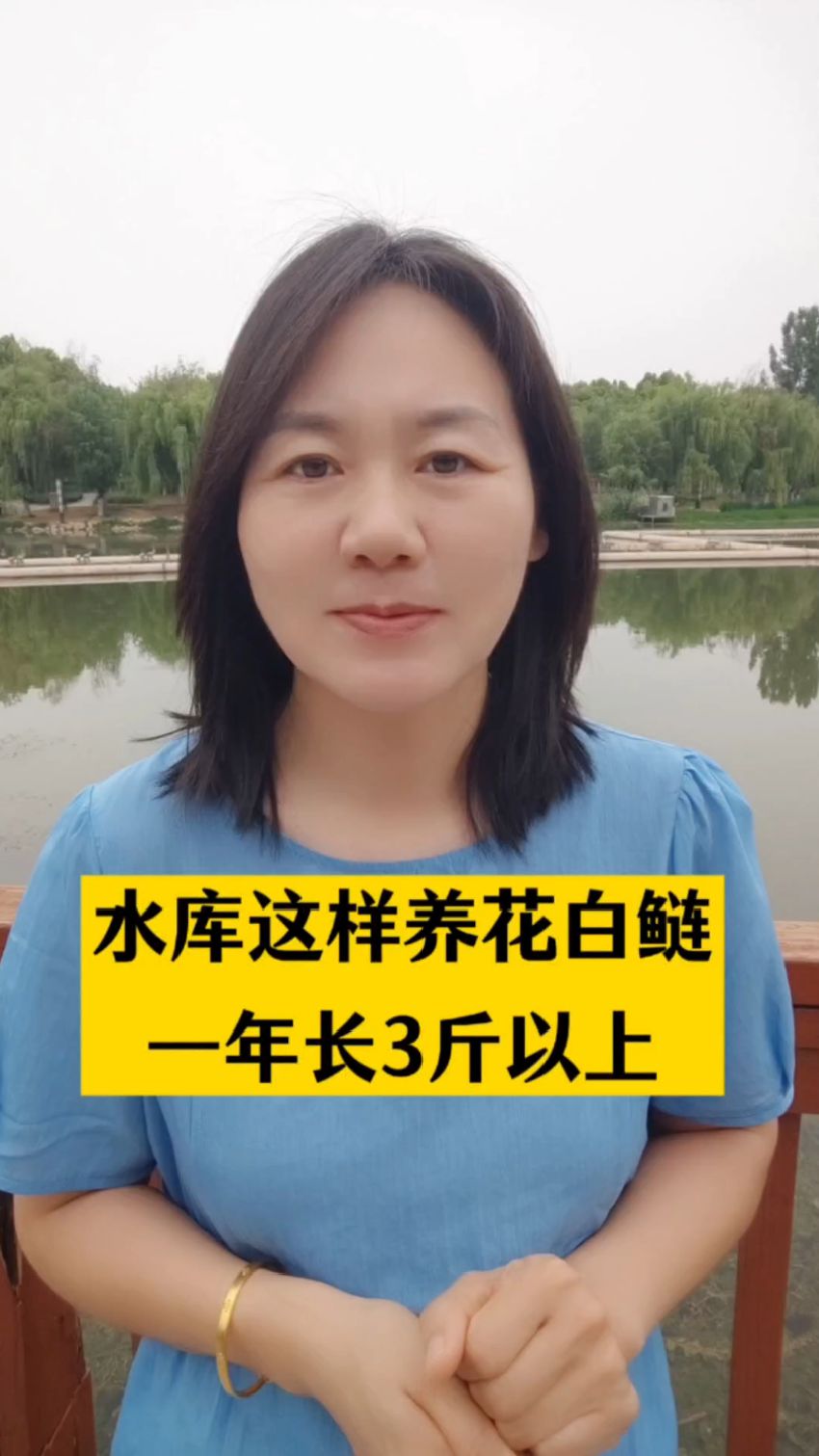 水库这样养殖花白鲢一年长3斤以上#花白鲢养殖#水库养鱼