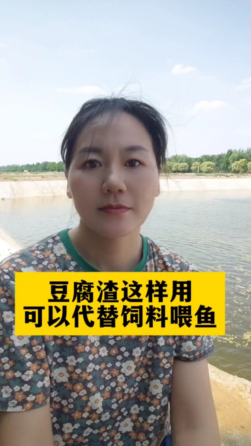 豆腐渣这样用可以代替饲料喂鱼#鱼虾蟹水产养殖#四大家鱼养殖