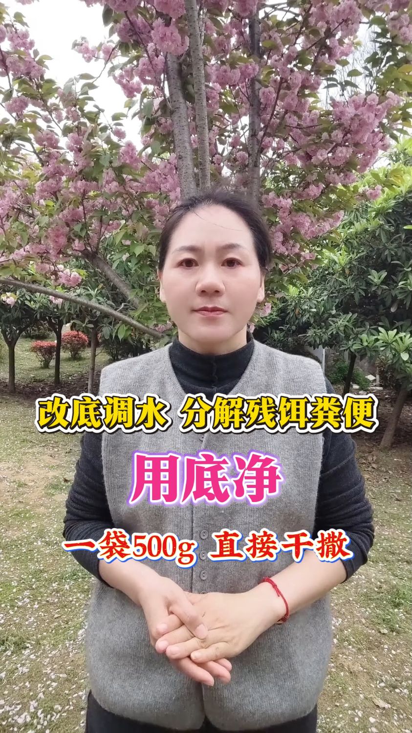 池塘淤泥多水发黑怎么办#鱼虾蟹水产养殖#四大家鱼养殖#高密度养殖
