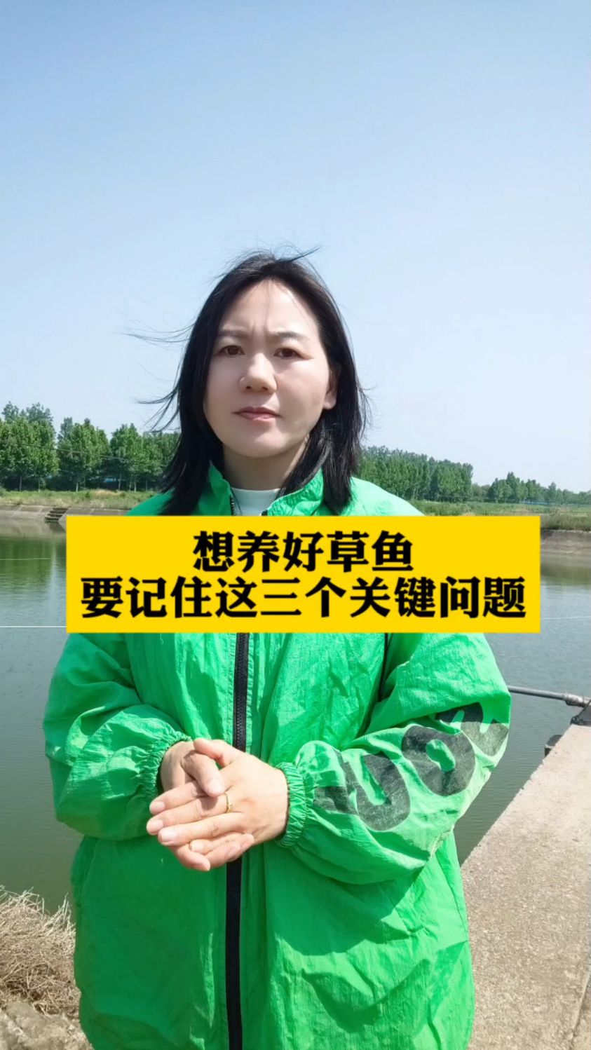 想养好草鱼要记住这三个关键问题#鱼虾蟹水产养殖#草鱼养殖