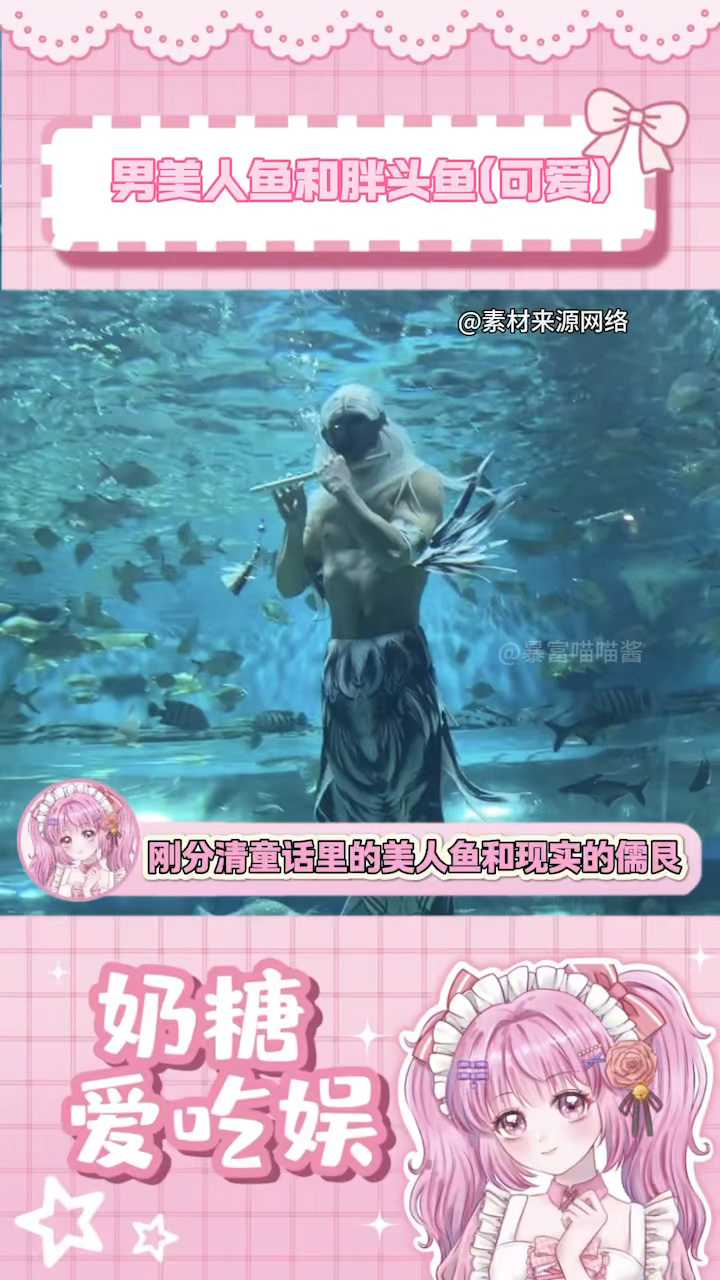 男美人鱼和胖头鱼