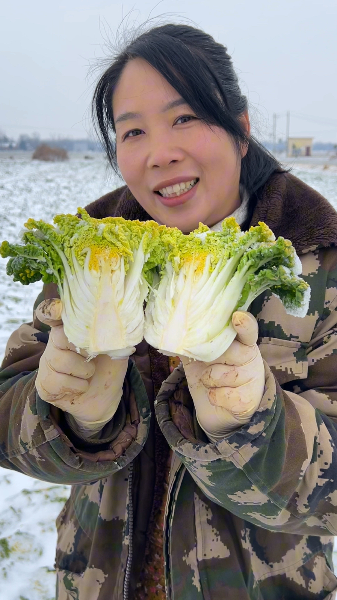 河南农家种植霜打黄心乌塌菜,口感特别好吃!