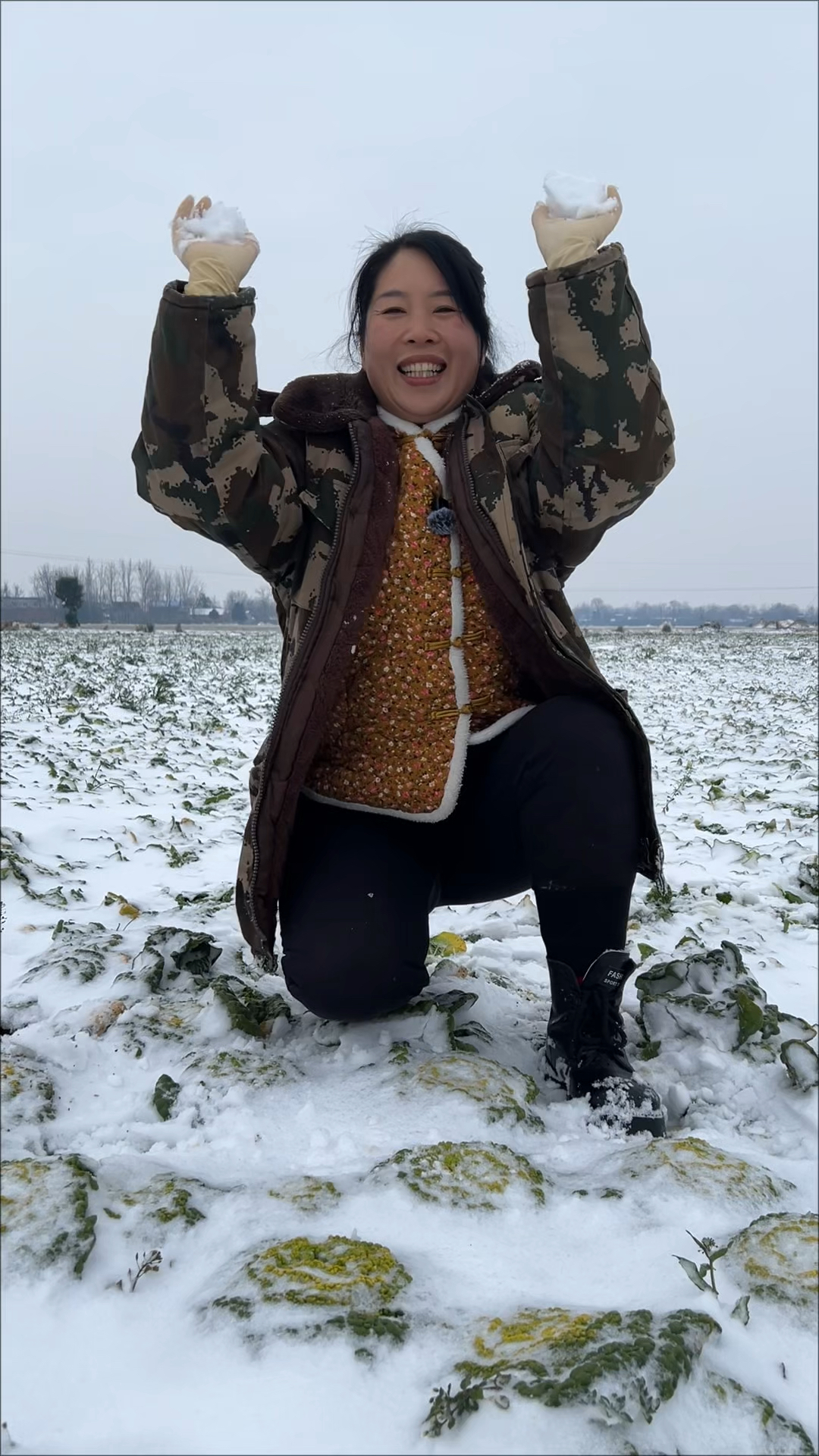 河南农家露天霜打黄心乌塌菜,吃起来软糯香甜