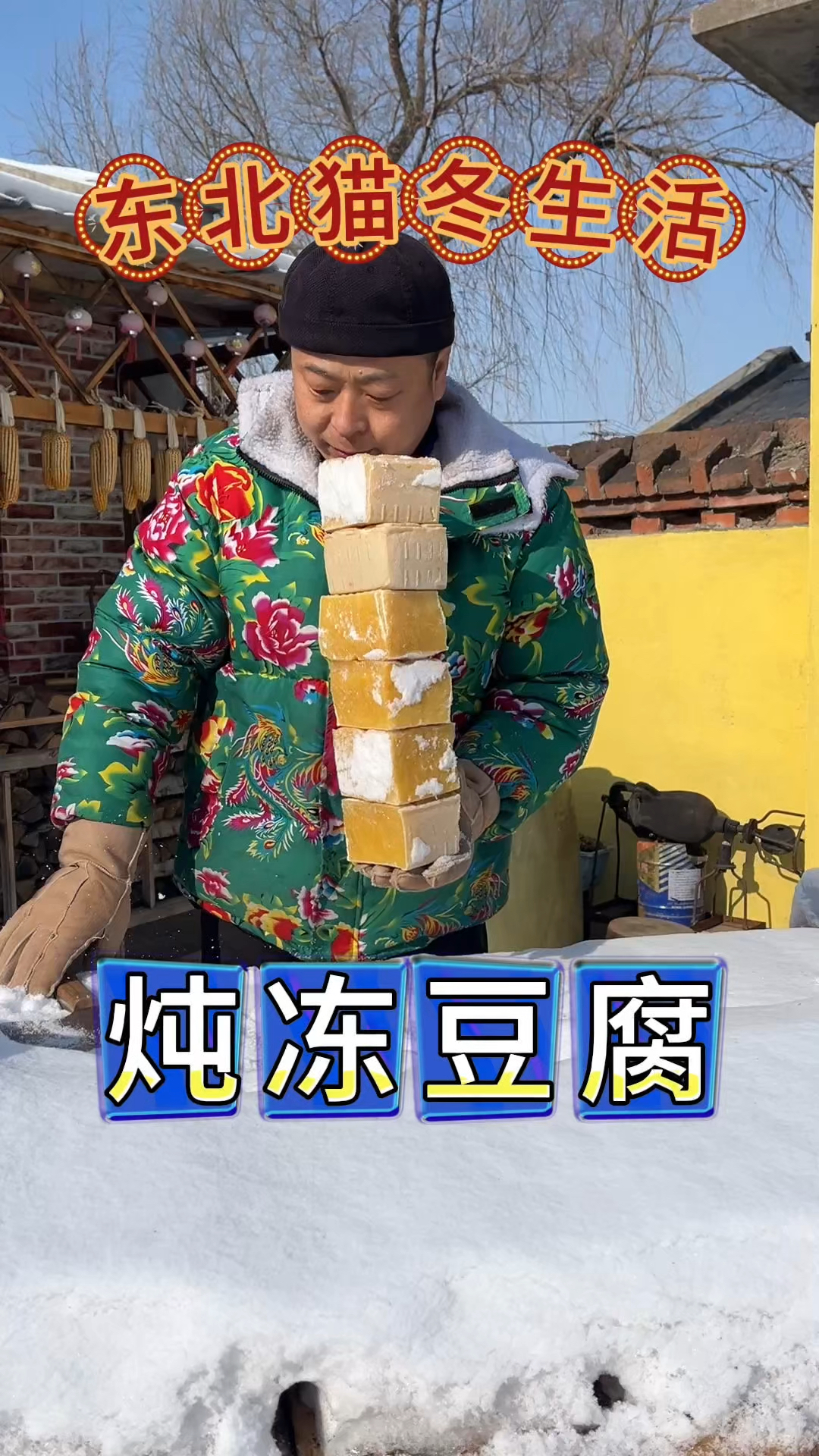 东北猫冬生活,东北名菜雪里蕻炖冻豆腐,香