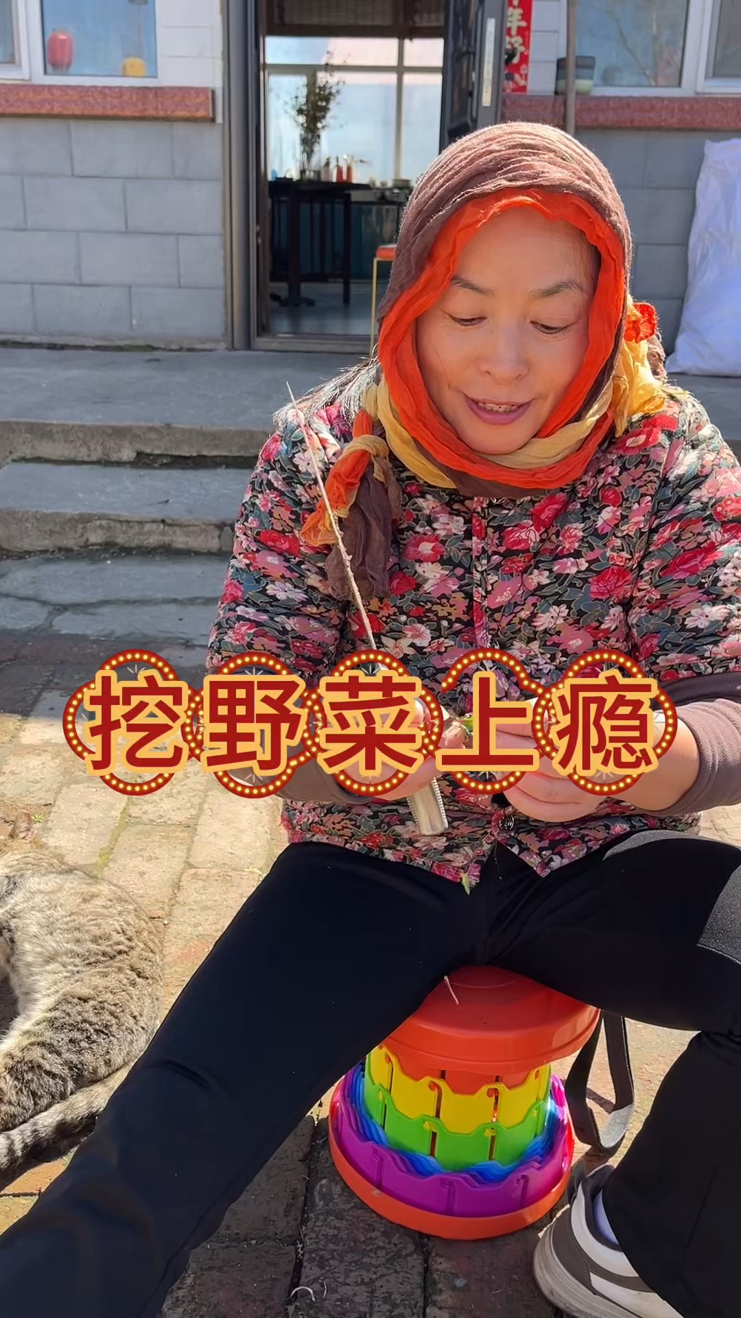 东北农村生活，草木发芽，顿顿吃野菜，翠花卤鸡爪子，真香