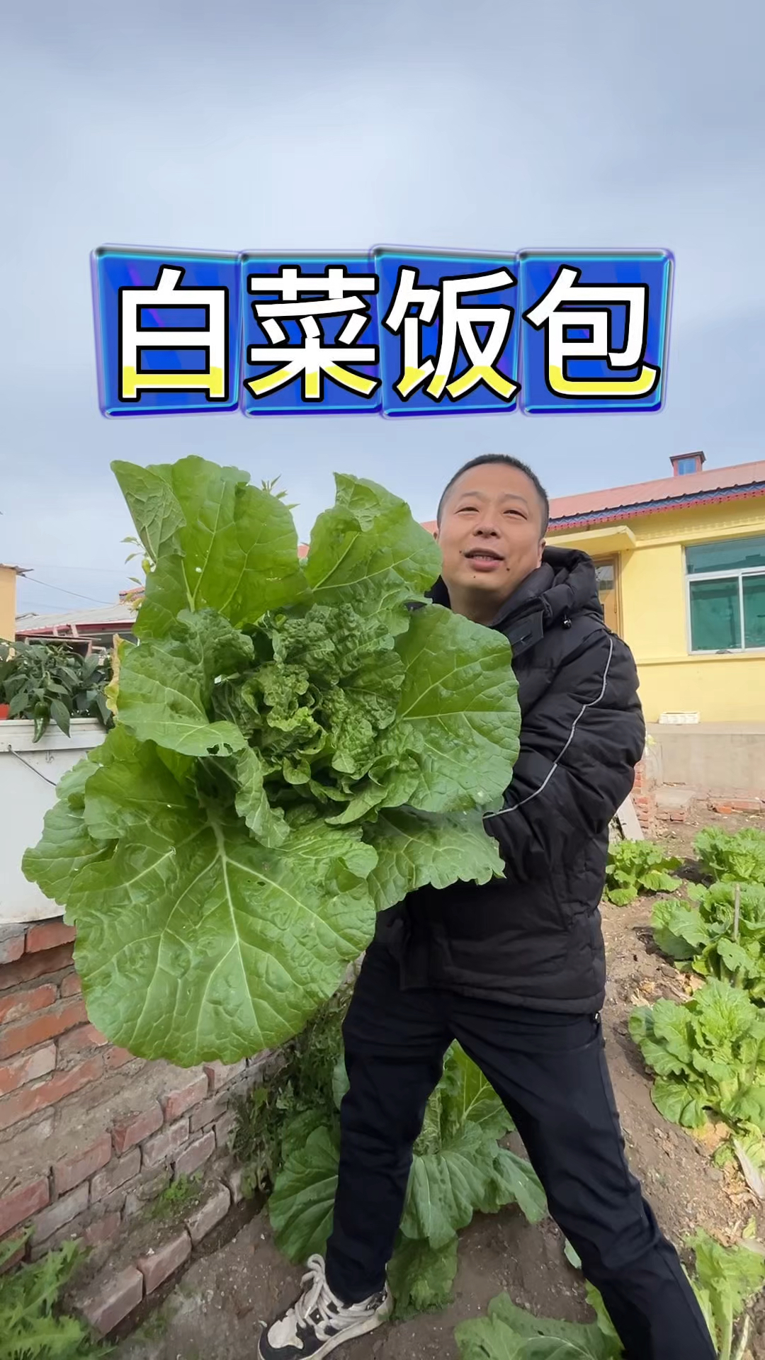 东北农村生活,秋收砍白菜做东北饭包,妥妥的黑暗料理,但好吃