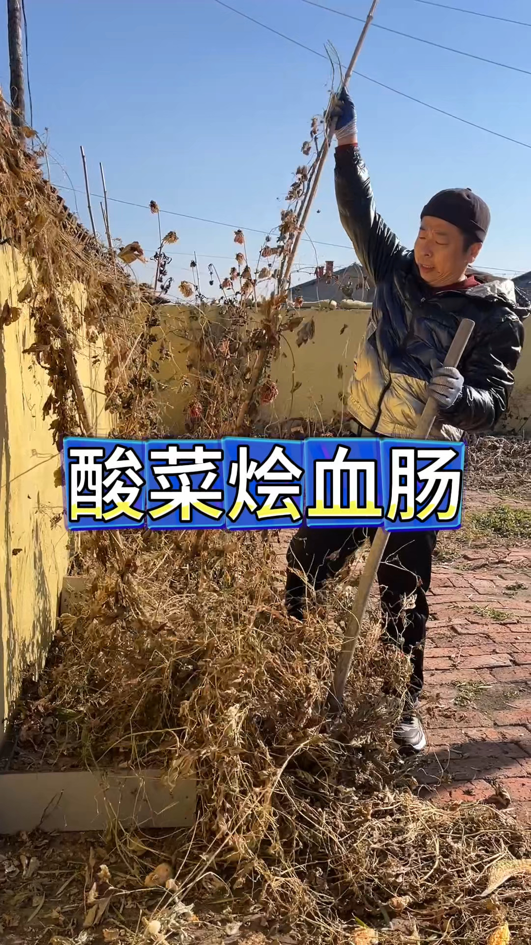 东北农村生活，清理院子，翠花做酸菜炖血肠，这叫一个地道