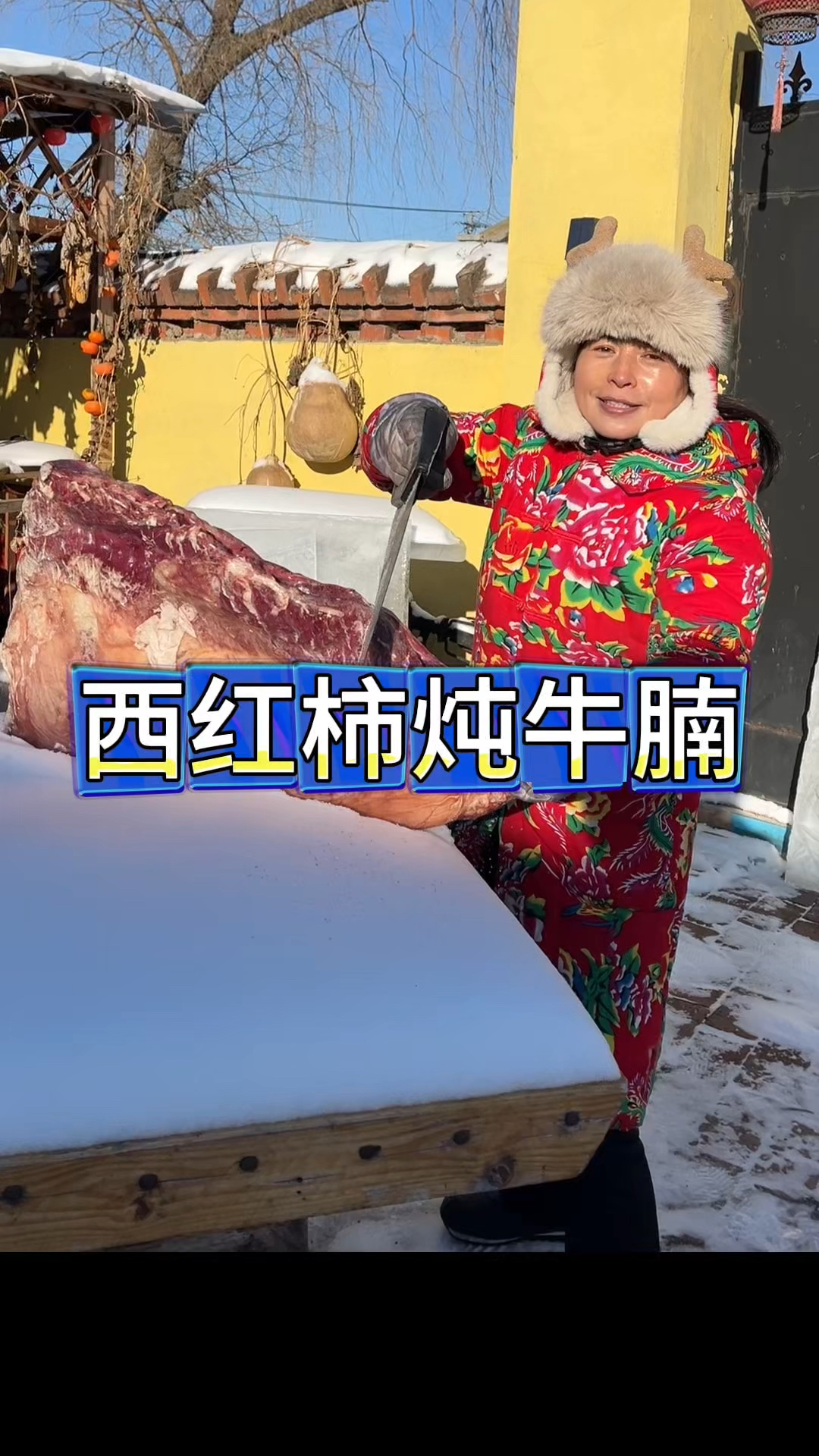 东北猫冬生活,今日菜系,牛腩炖柿子,东北天然大冰箱好用