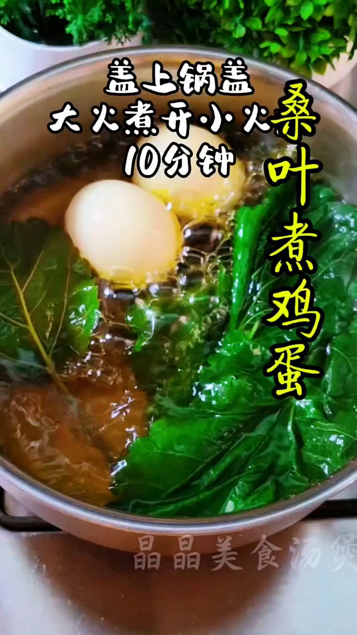 桑叶煮鸡蛋,煮一煮那真是太好了