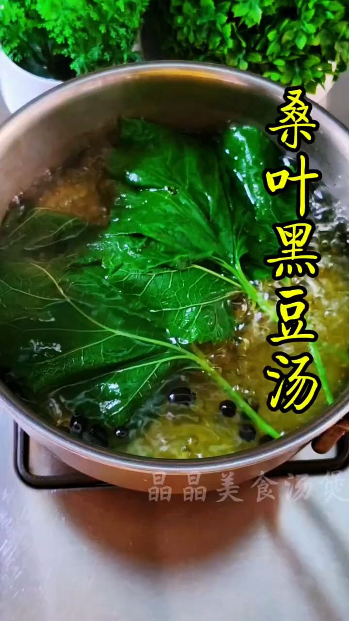 桑叶黑豆汤,食养美食