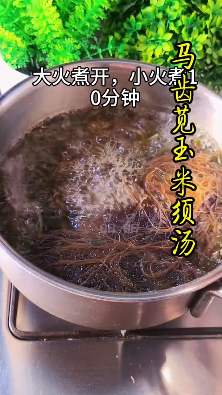 马齿苋玉米须汤,老一辈的方法