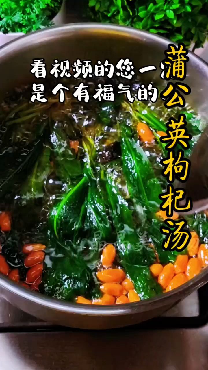 蒲公英枸杞汤，老一辈的方法