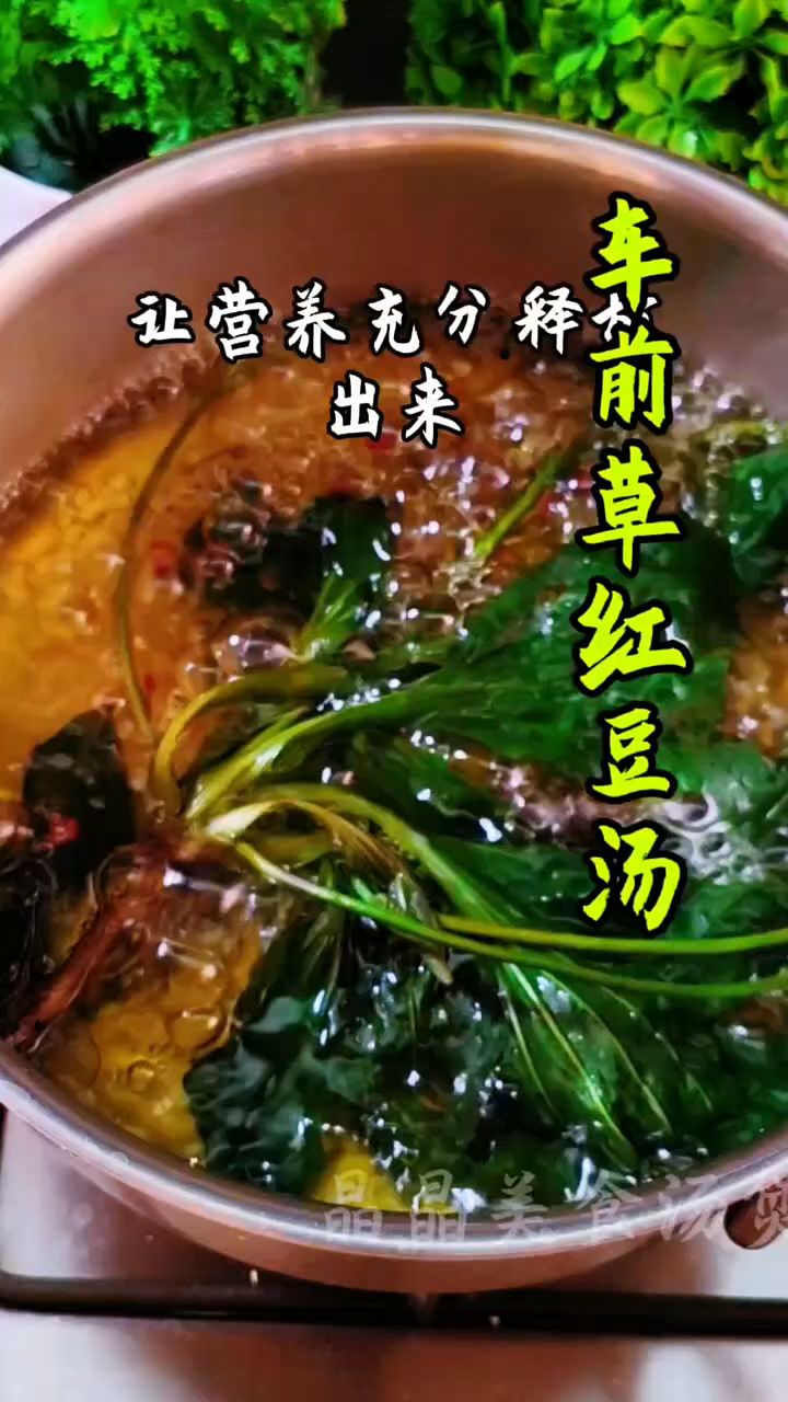 车前草红豆汤，老一辈的方法
